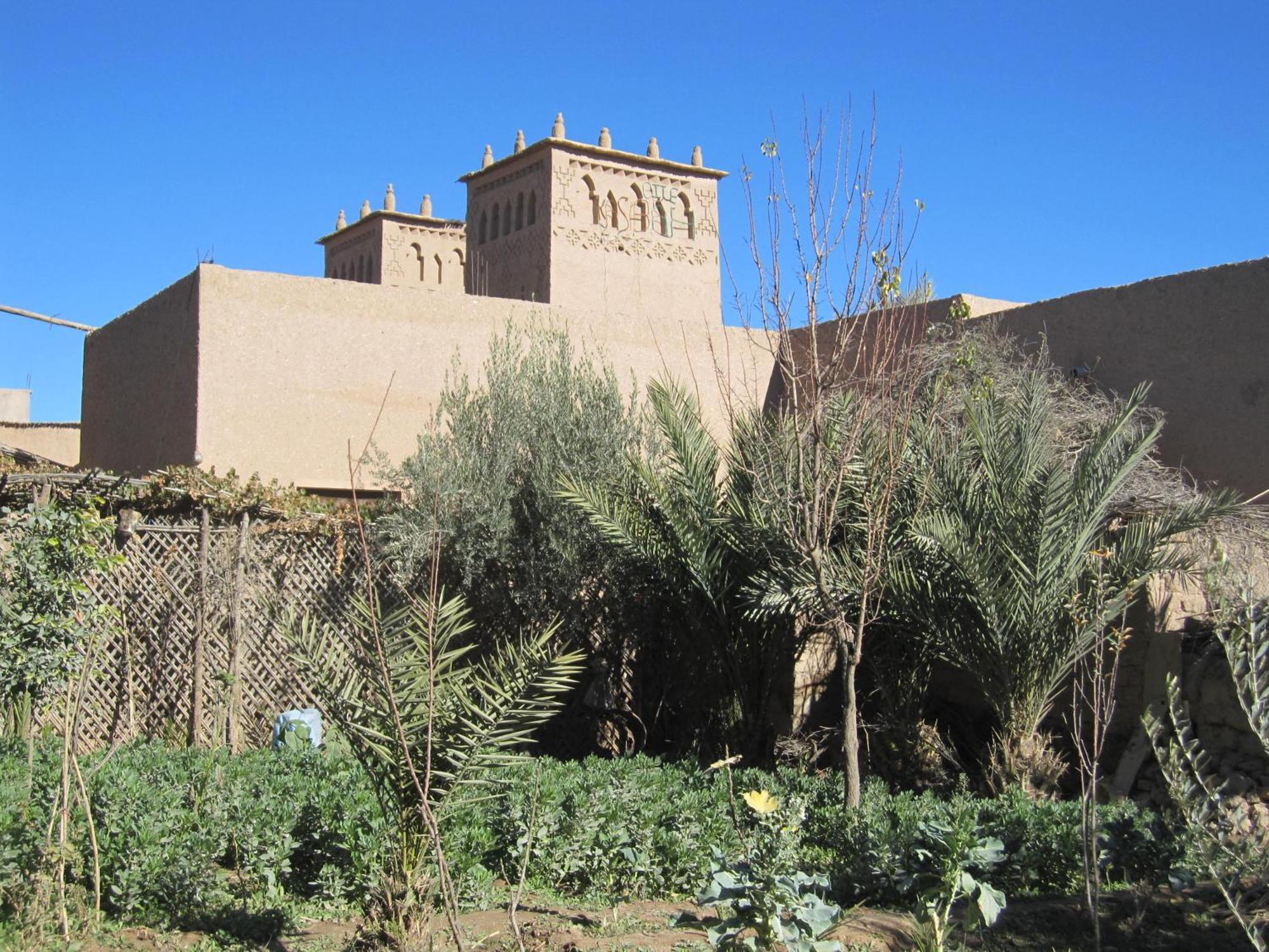 Gite Kasbah La Palmeraie Hotel Skoura Exterior foto